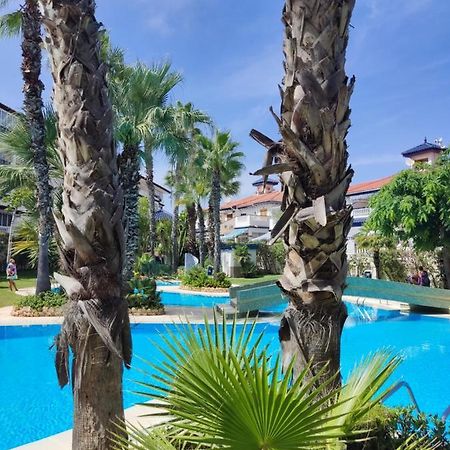 Sunny Apartment Costa Blanca لا ماتا المظهر الخارجي الصورة